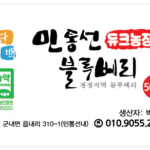 파주 블루베리 제철 시즌은? 수확 시기와 맛있게 먹는 법